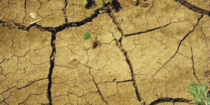 Изменение климата грозит подорвать сельское хозяйство Кырызстана