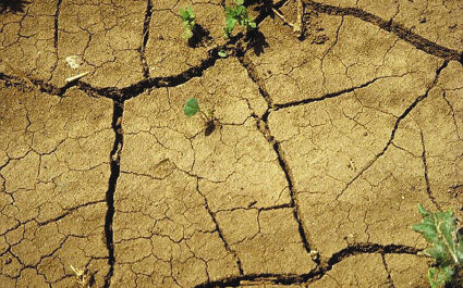 Изменение климата грозит подорвать сельское хозяйство Кырызстана