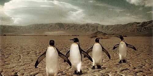 Новые данные о чувствительности климата не снимут нас с крючка