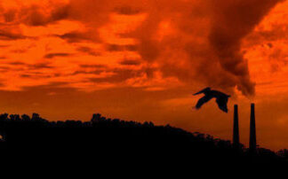 Климат – социальный вопрос («Le Monde», Франция)