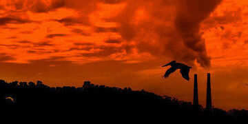 Климат – социальный вопрос («Le Monde», Франция)