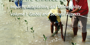 Сегодня открыта рабочая сессия Межправительственной группы экспертов по изменению климата