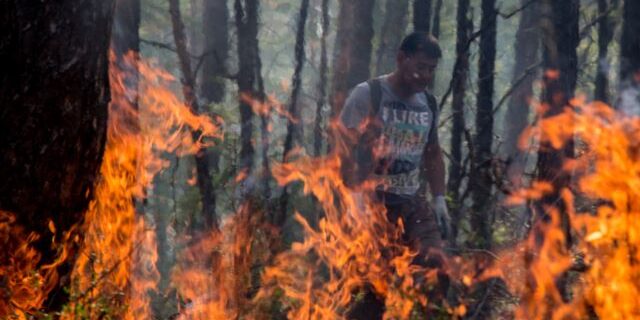 8C2A773E-B726-4815-9111-071F0D535EEF_w640_r1_s