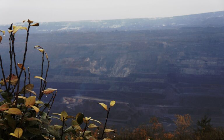 tild3863-6135-4063-a131-323037643766__dsc06600