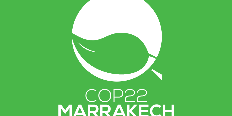 27c84635914249-57080c7301fb7