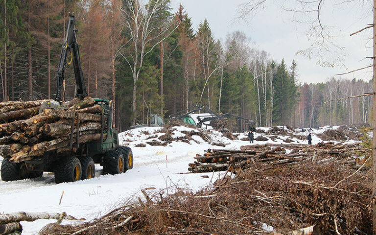 rian_00899124-hr_-ru-pic905-895×505-11567