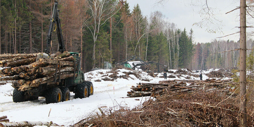 rian_00899124-hr_-ru-pic905-895×505-11567