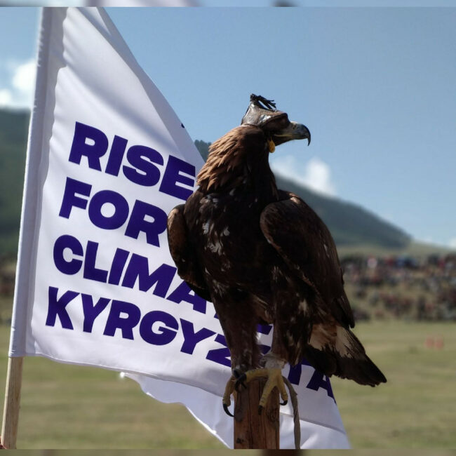 44469499781_23d6ff0722_b