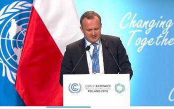 48361308_295279734452044_3653913319351255040_n