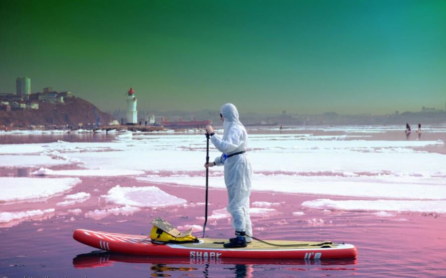 Климат, коронавирус, экономика – как восстановиться после пандемии