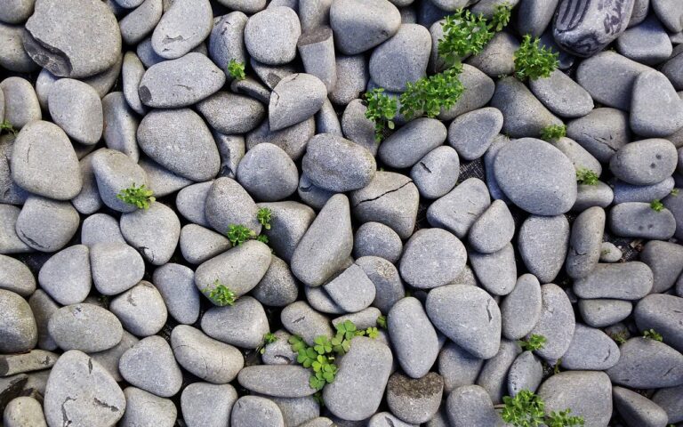 Green recovery in post-Soviet countries