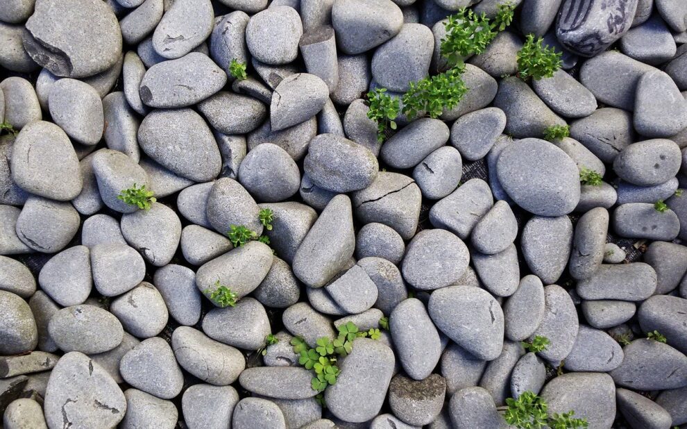 Green recovery in post-Soviet countries