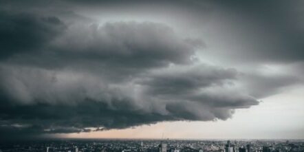 WhatsApp Image 2022-02-28 at 14.38.01