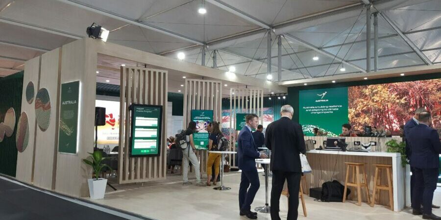 photo_2022-11-08_04-57-14