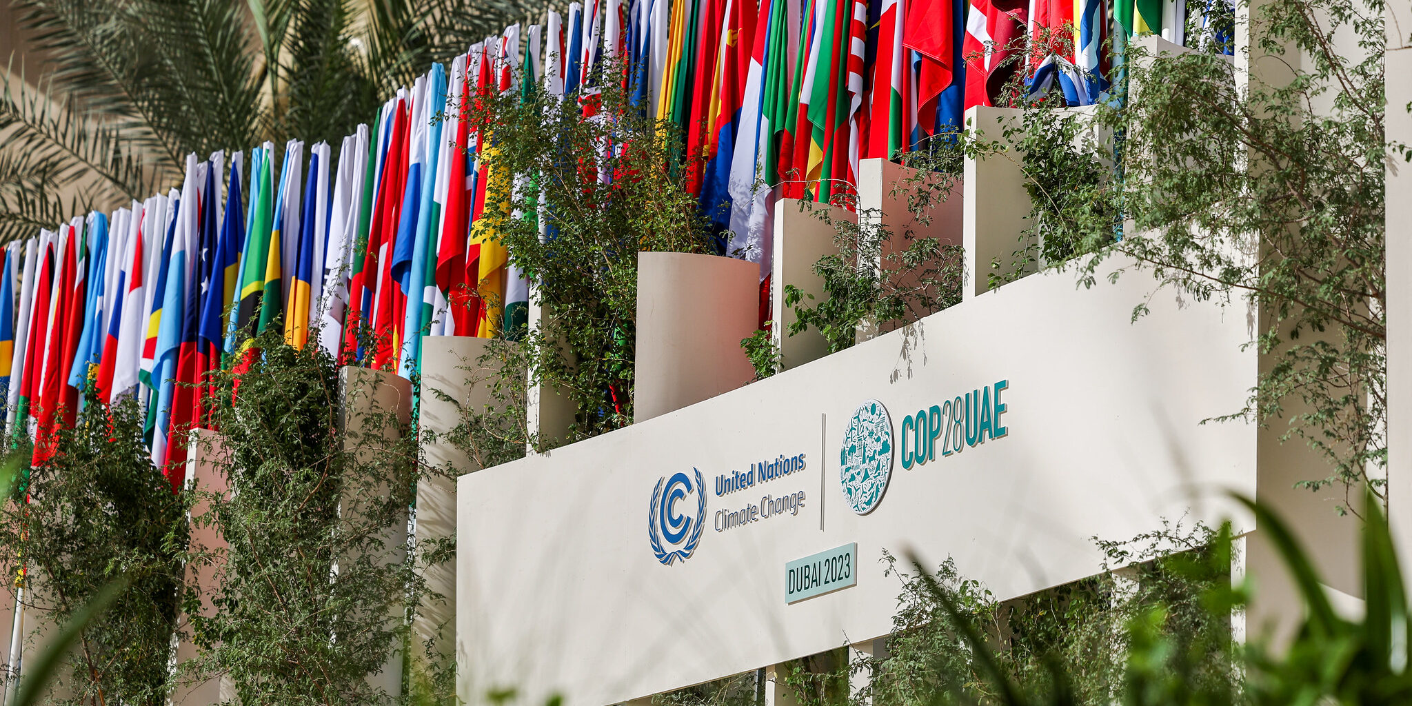 53365691971_86343a6c06_k-2048×1024