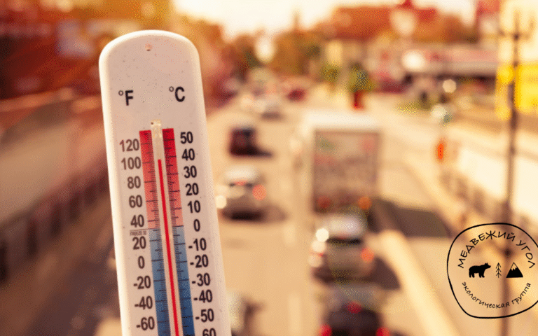 Обновление ОНУВ в регионе ВЕКЦА выводы по отдельным странам Критический взгляд гражданского общества на амбиции, справедливос (11)